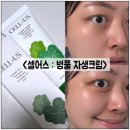 셀어스 | 겨울철 홍조 피부관리는, < 셀어스 : 병풀자생크림 > 으로 관리해요!