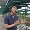 나라 태양광발전소 이미지