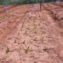 으니농장 이미지