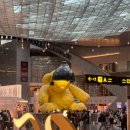 영종석유 | 스위스 신혼여행 | 인천 > 취리히 카타르 항공 이용 후기 (도하공항 환승)