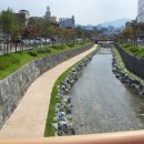 장군한방족발 - 진주시 동부로 2009 | 장군한방족발