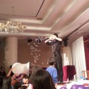 채석강리조트 이미지