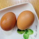 닭이랑 알이랑 농장 이미지