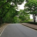 농업회사법인 주식회사 정도 네이버블로그
