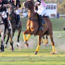 폴로관광호텔 이미지