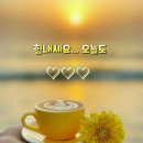주식회사 미쁘캐나비스바이오 네이버블로그