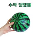 669 쇼핑하우