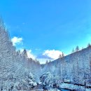 (주)통통마을신문 이미지