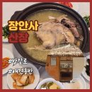 기장애견 | 기장 방갈로 식당 장안사 산장 부산 애견동반 밥집 추천 내돈내산 맛집 후기