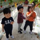 군서농장 이미지