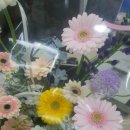 씨유 안산단원점 | 안산꽃집 피오타에서 거베라 꽃바구니 선물 후기