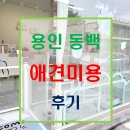 크린멍 | 동백 초당 애견미용 크린멍 내돈내산$ 후기