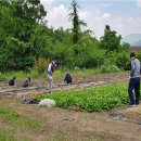 부산면 행정복지센터 이미지