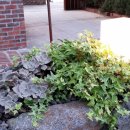 숲속빨간벽돌집 이미지