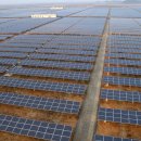 동기 태양광발전소 이미지