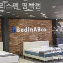 매트리스엠