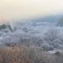 비밀의정원 - 강동구 천호대로170길 34 | 비밀의정원