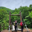 소백산(어의곡주차장ㆍ늦은맥이재ㆍ국망봉ㆍ비로봉ㆍ어의곡삼거리ㆍ주차장) ㆍ일출횟집 2023.5.21일 이미지