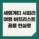 대이동주민센터 | 세렝게티 사파리 여행 버킷리스트 꿈을 현실로