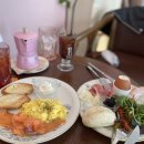 샤츠(Schatz) 이미지