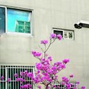 [조영래 시인이 들려주는 디카시] 너에게로 가는 방법/신혜진 이미지