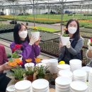 유재호농장 이미지