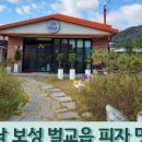 탑피자 벌교점 이미지