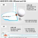 디.스윗