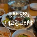 내고향보리밥백년가야밀면