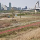 세종공원 이미지