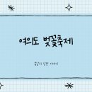 명당의 향기 | 여의도 벚꽃축제 일정 ( +명당 팁 )