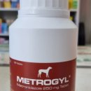 보건정문약국 이미지