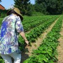 천사유치원 이미지