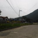 건천 편백나무숲 Daum카페