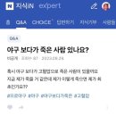 아르미케이크 | 나는 모든 것을 회피하기로 마음먹었다