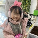 우포의 숲속 | 경남 창녕 곤충박물관인 창녕우포곤충박물관 체험 방문 후기