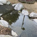 미추홀공원(다례원 옆) | 송도쎄쎄쎄 겨울 야외 한옥스냅: 다래원(다례원) /미추홀공원 다래원 사전답사후기!