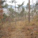 춘향골농협주유소 이미지