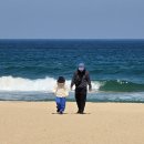 경포동주민센터 | 강릉 경포대 벚꽃 + 속초 영랑호 벚꽃 🌸 1박2일 여행 코스 후기 총정리 (주차 꿀팁 포함)