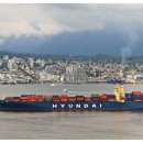 11530-14-15 이미지