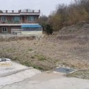 전의면사무소 이미지