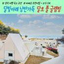 영덕 풀빌라 추천, 오션뷰가 멋진 달토풀빌라 글램핑 바베큐 무한리필 제공