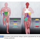 PT STUDIO THE 진심 | 평촌역 마음심 PT 통증과 볼링 자세를 교정해주는 마법의 고관절 운동