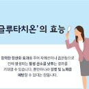 항산화제 글루타치온과 코큐텐의 효과 에 대하여 이미지