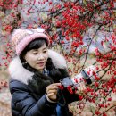 설악산상회 이미지