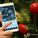 참수농장 이미지