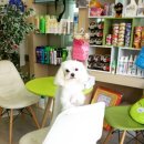 장산동물병원