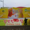 의성 산수유 꽃 축제 SNS 인증샷 이벤트 참여하세요.