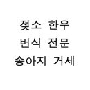 아리 동물병원 이미지