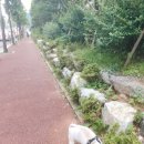 빛고을 동물의료센터 이미지